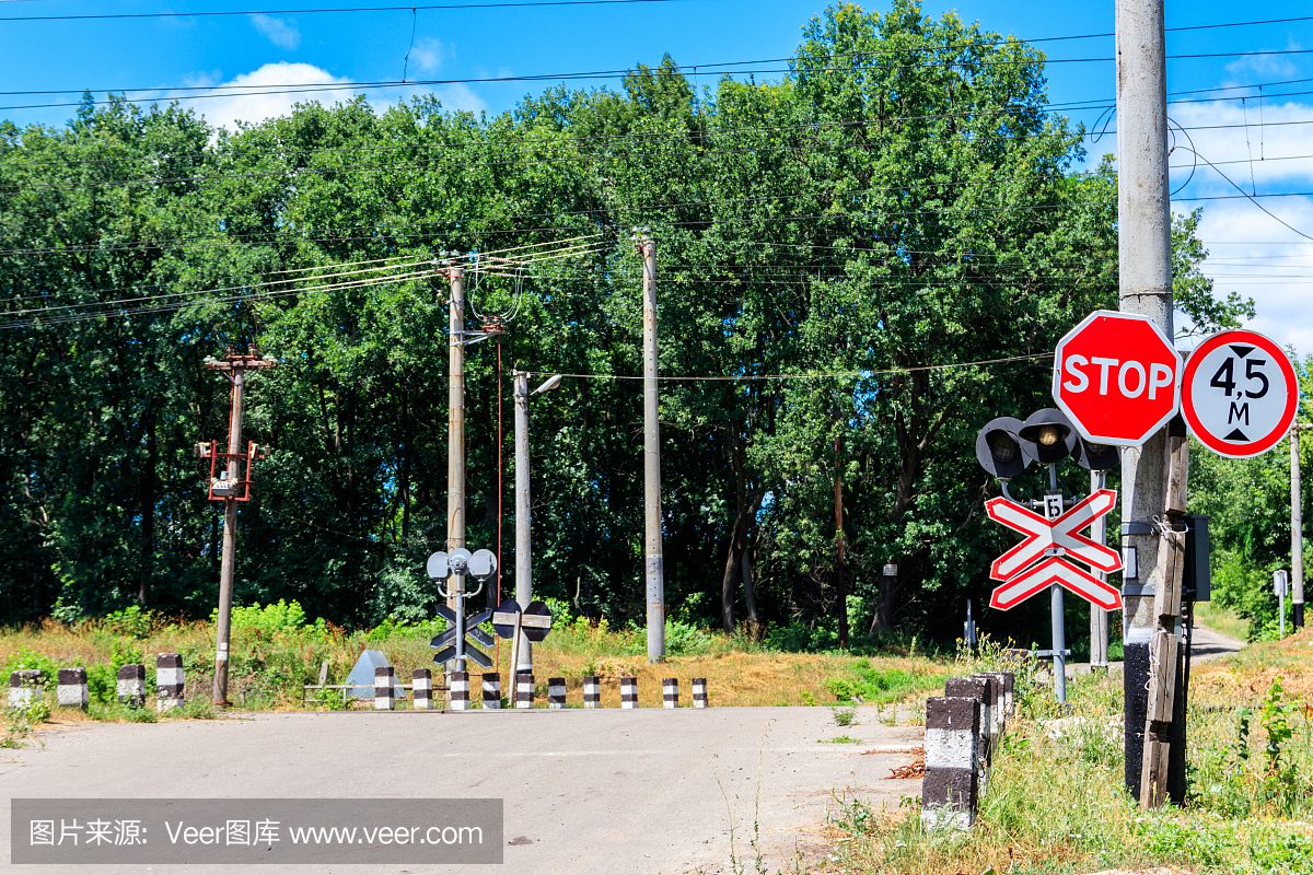 铁路穿过森林中的乡村公路