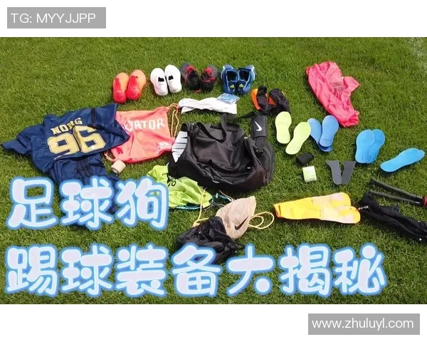 臣服足球狗的奇妙冒险与成长之路探索球场上的忠诚与友谊